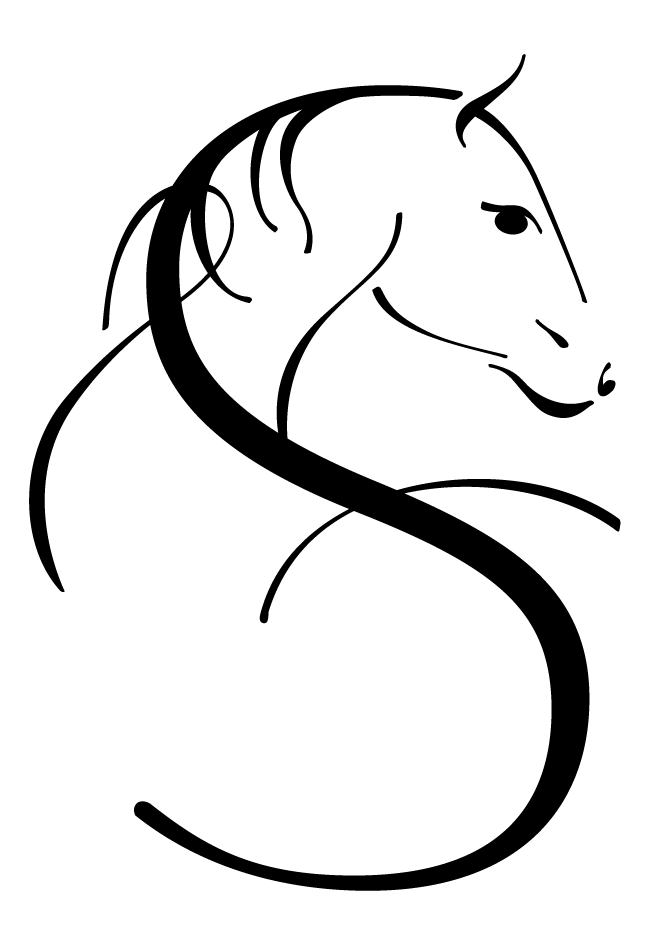 ST Horsemanship – Website-Projekt